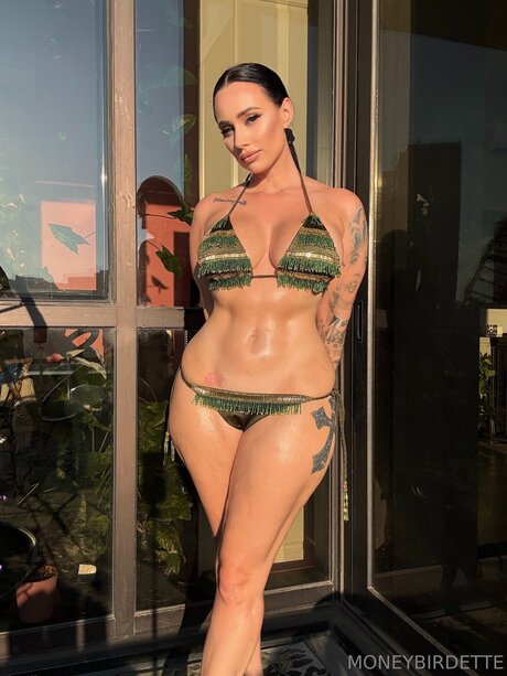 Moneybirdettevip star nice galleries