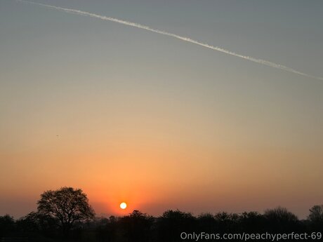 Peachyperfect 69 art actress pictures