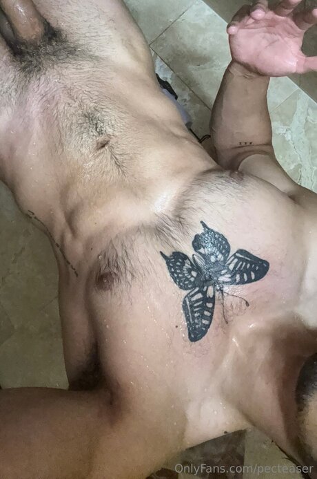 Pecteaser exclusive pornstar galleries