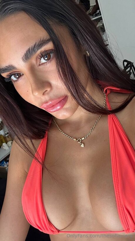 Thesofiaviera art star images