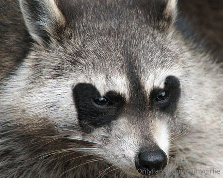 Grimygirlie art actress pictures