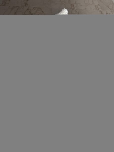 Bella Yammy pornstar best img