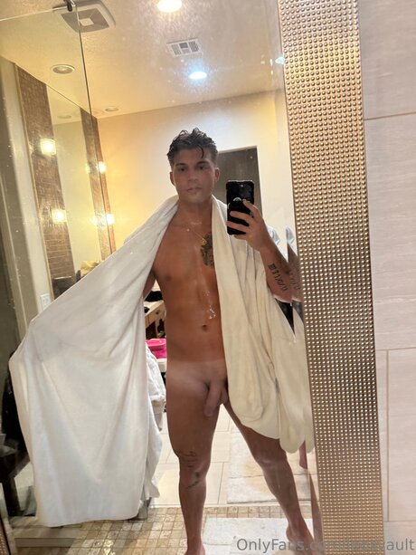 Leosvault top star image