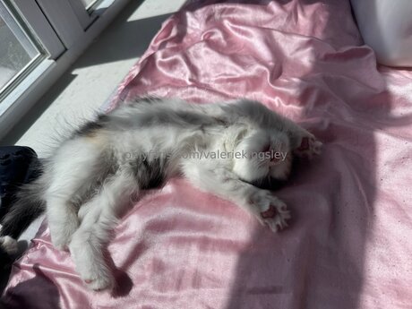 Valeriekingsley high quality actress photo