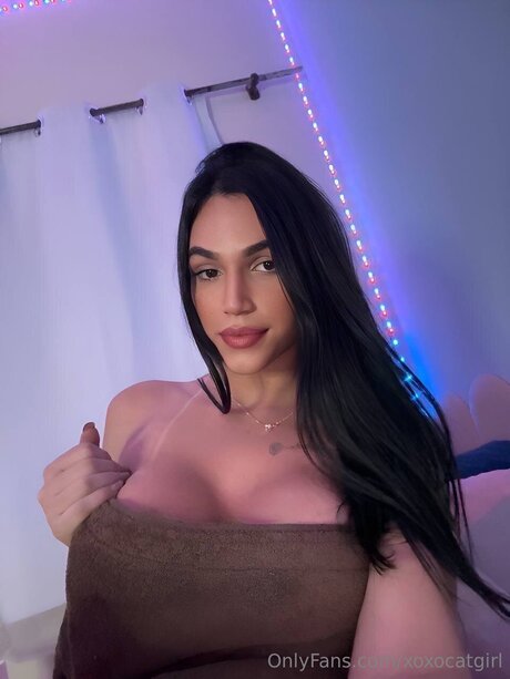 Xoxocatgirl pornstar art archive