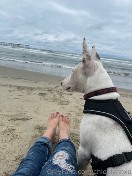 dark nipples onlyfans beautiful naked archive