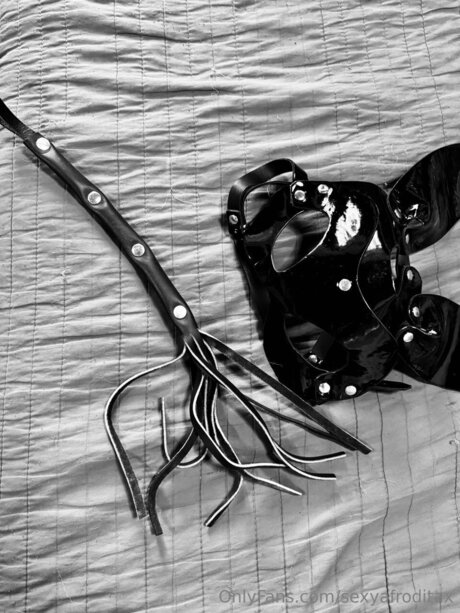 gay shower onlyfans erotic gallery