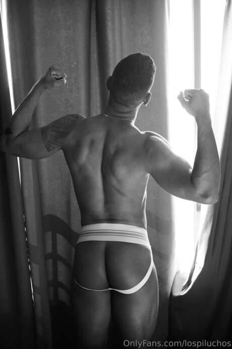 Lospiluchos hd star pictures