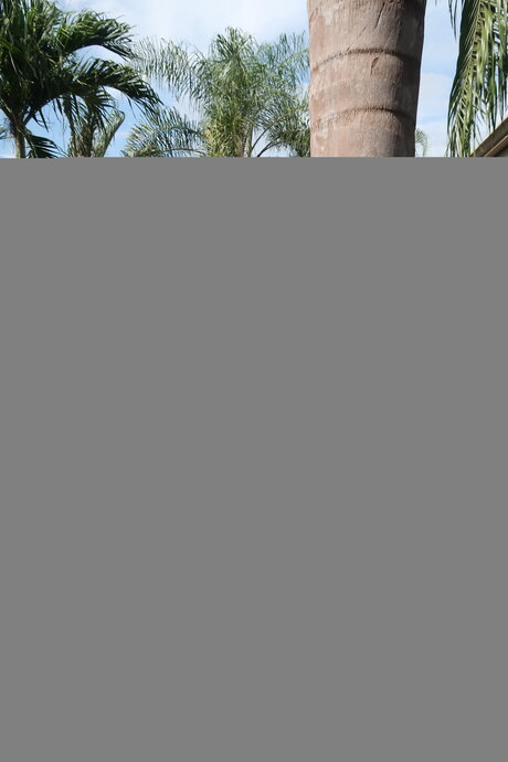 Hail Fitgirl erotic star gallery