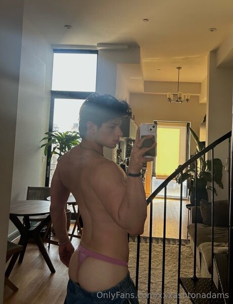 Ashtonadamsx model porn galleries