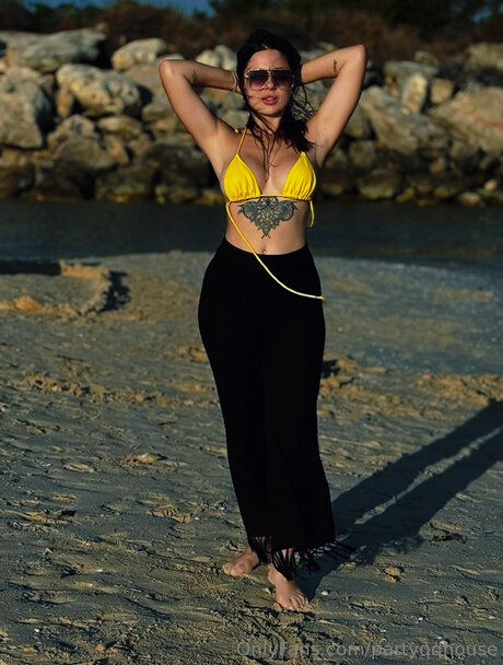 Partyqqhouse nice star img