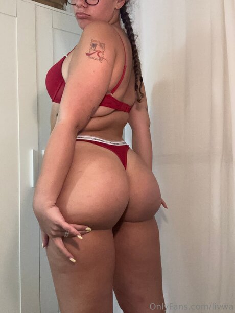 Livwa model perfect galleries