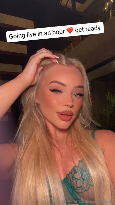 Xo Ellie porn actress gallery