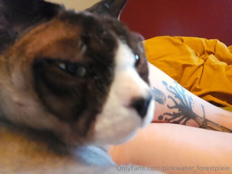 Pinkwater Forestpixie exclusive model galleries