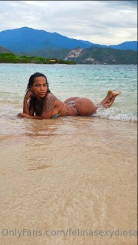 Bastcleidys sex pornstar img