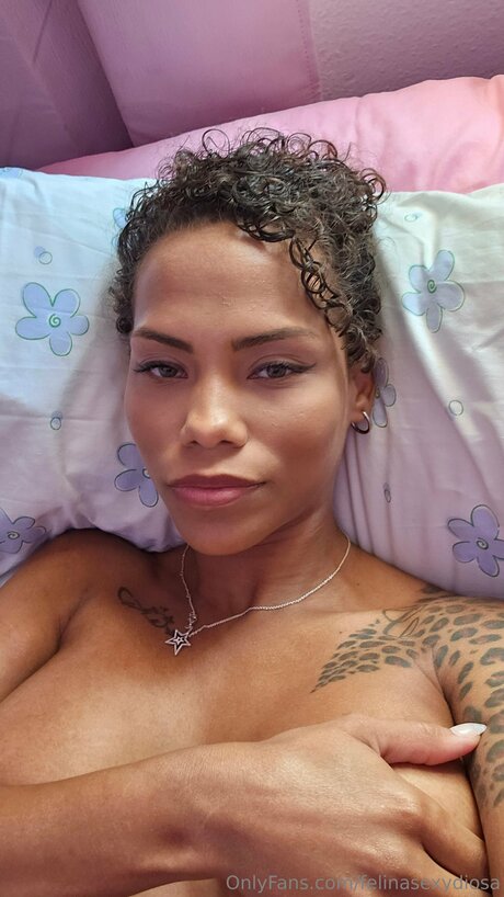 Bastcleidys beautiful star image