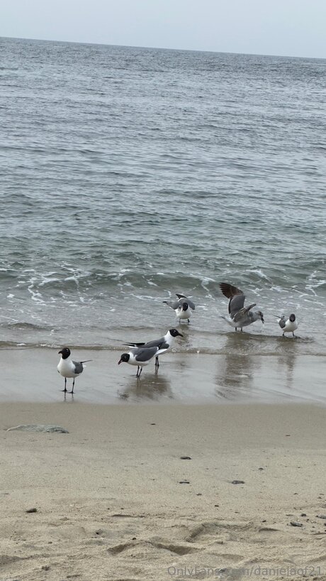 Danielaof21 xxx star photo