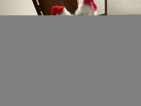 bikini princess onlyfans free sexy pictures