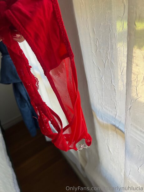 Tscarlynuhlucia high quality star picture