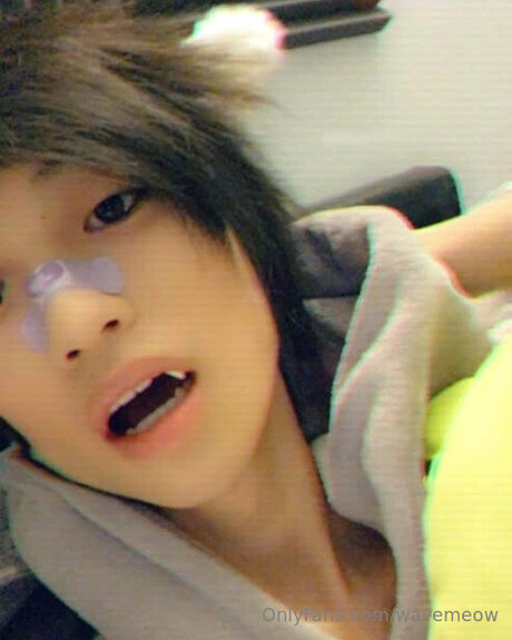 Wavemeow adult star picture