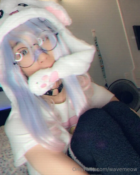 Wavemeow model image