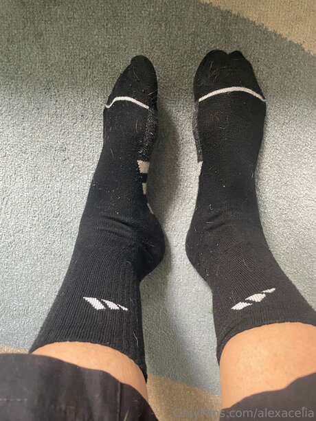 Alexacelia sex pornstar img