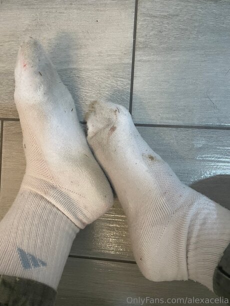 Alexacelia pornstar pretty picture