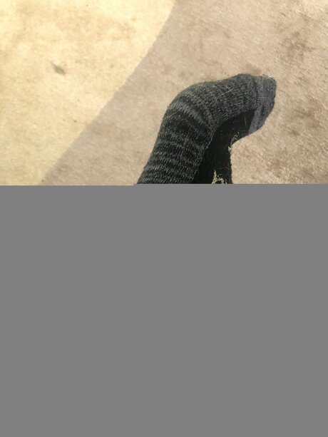 Alexacelia erotic star img