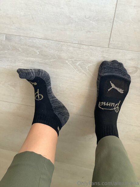 Alexacelia star adult image