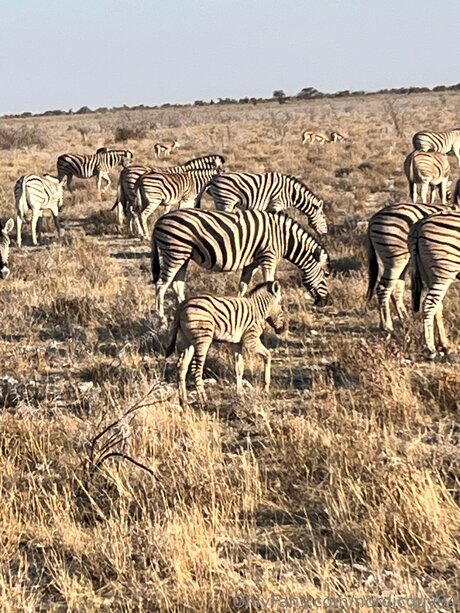 frottage onlyfans porno pics