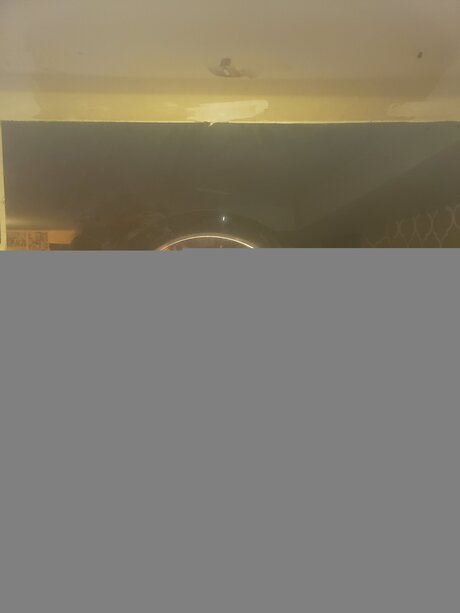 Dumbcuntfree nice pornstar galleries