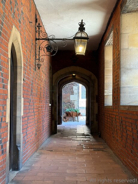 natural ass onlyfans naked images