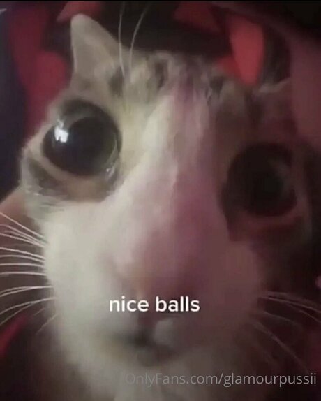 Glamourpussii star pornographic galleries