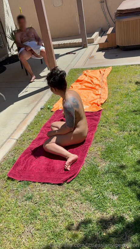 Littleasianviperqueen star high quality galleries