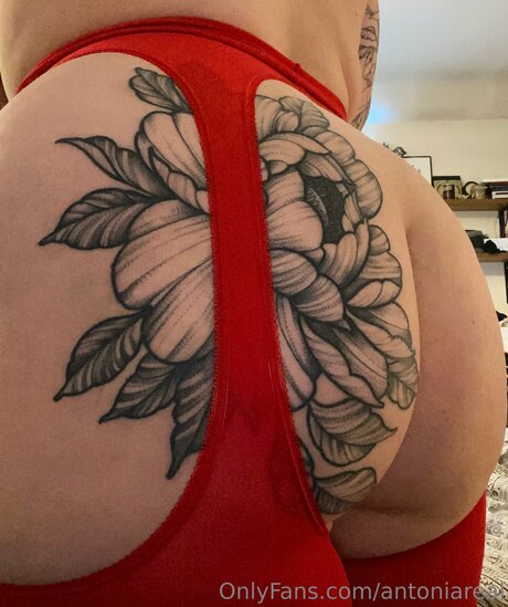 Anabellereal pornstar sex img