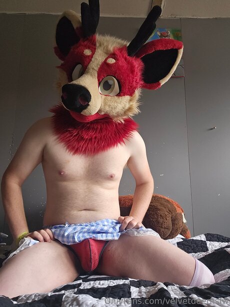 Velvetdeernsfw xxx actress photo