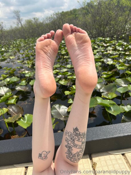 dildo onlyfans top images