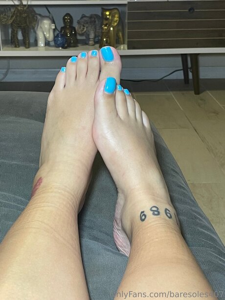 Baresoles407 Images