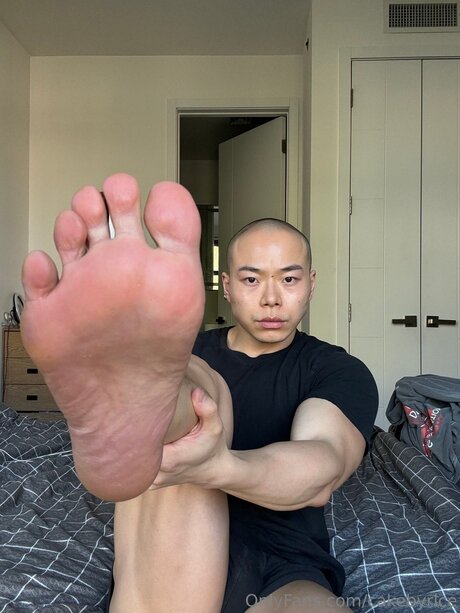 Cakebyrice hd pornstar image