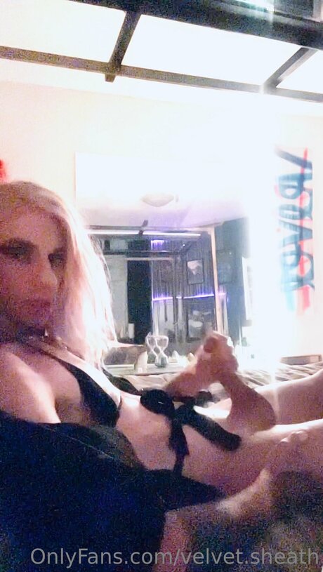 Velvet Sheath adult actress gallery