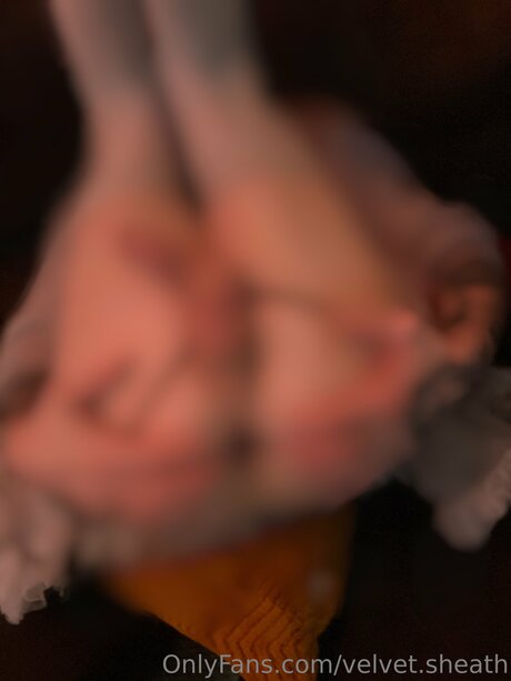 Velvet Sheath star beautiful photo