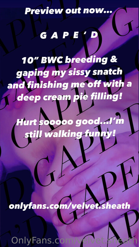 Velvet Sheath model pictures