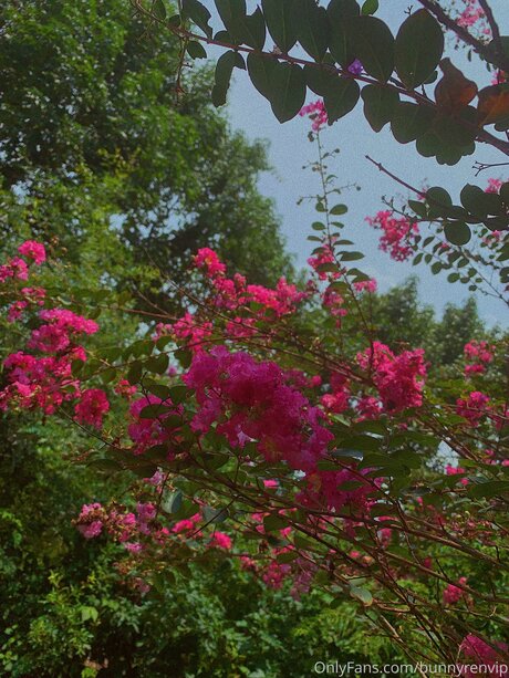 Dropofhoney model erotic image