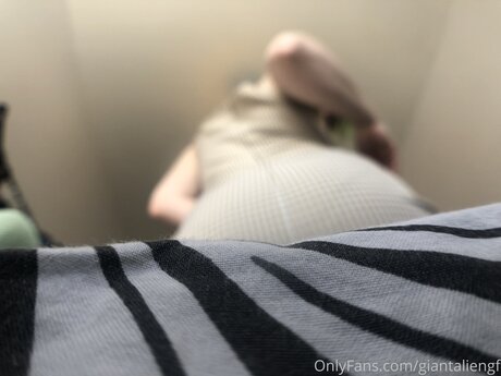 big ass lingerie onlyfans art naked gallery