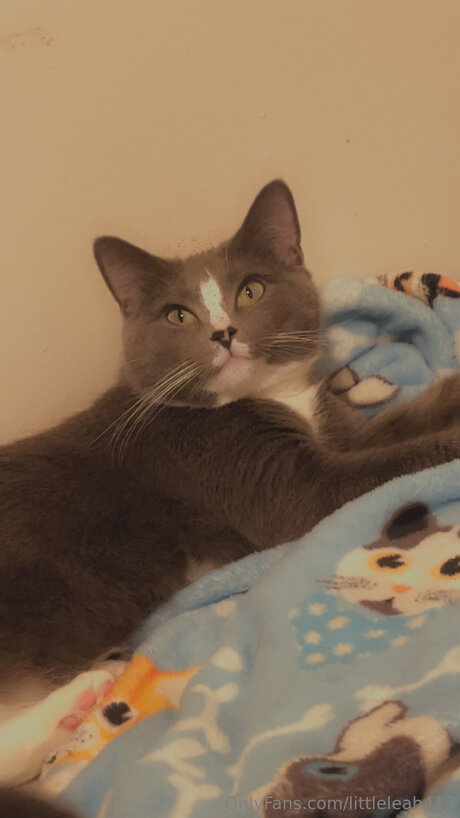 Littleleah413 model free pic