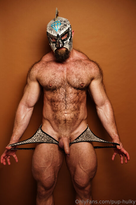 Pup Hulky model nice archive