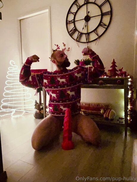 Pup Hulky free star photo