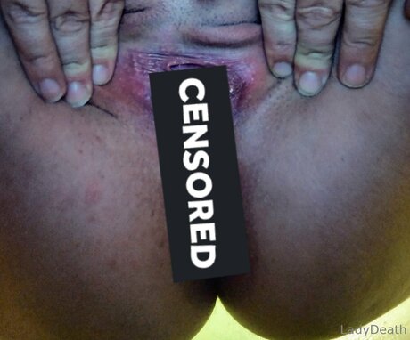 U137557190 model perfect galleries