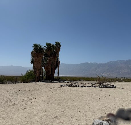 Mctiddiees xxx actress archive