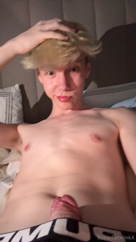 Xcharlietwinkx star top picture